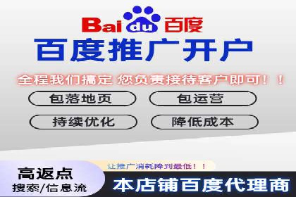 百度企业级服务推广的全面解决方案